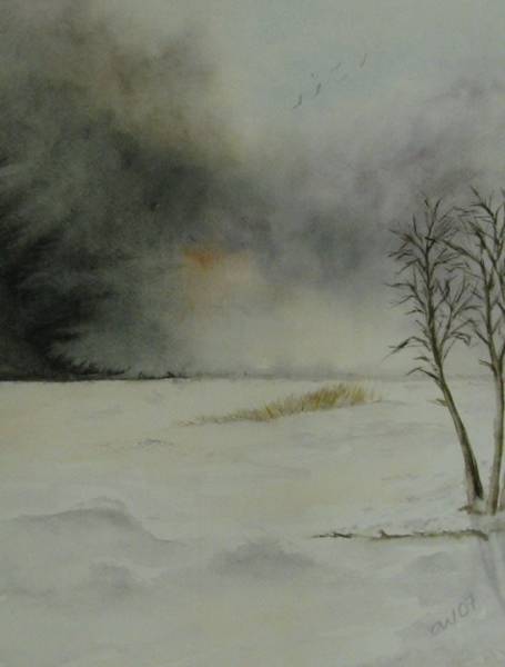  Vinter 1  43x53